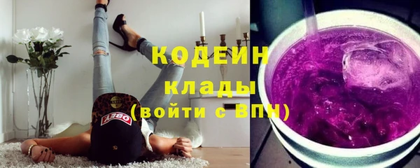 ГАЛЛЮЦИНОГЕННЫЕ ГРИБЫ Богданович