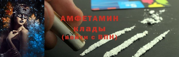 ГАЛЛЮЦИНОГЕННЫЕ ГРИБЫ Богданович