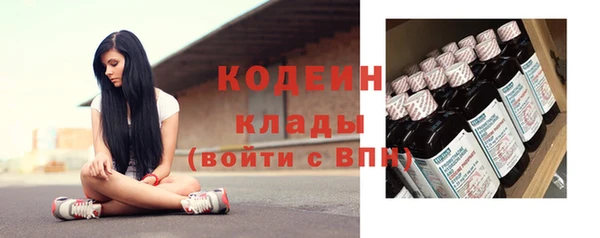 крисы Богородицк