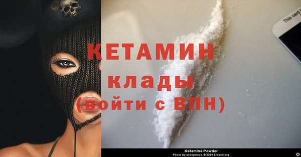 ГАЛЛЮЦИНОГЕННЫЕ ГРИБЫ Богданович