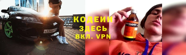 крисы Богородицк