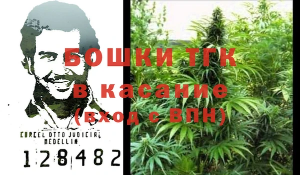 ГАЛЛЮЦИНОГЕННЫЕ ГРИБЫ Богданович