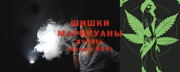 ГАЛЛЮЦИНОГЕННЫЕ ГРИБЫ Богданович