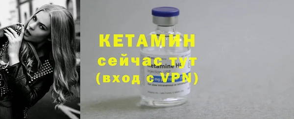 крисы Богородицк