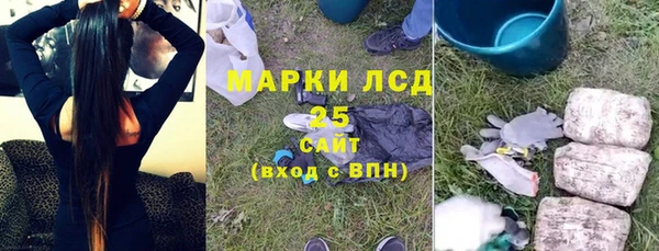 крисы Богородицк