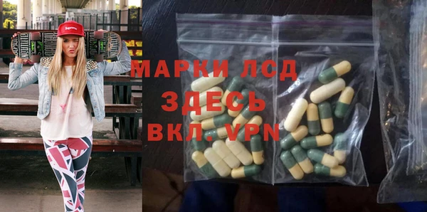 крисы Богородицк