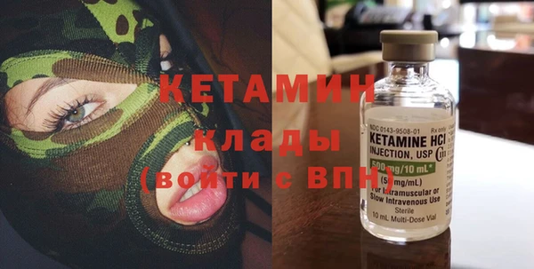 крисы Богородицк