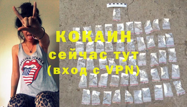 крисы Богородицк